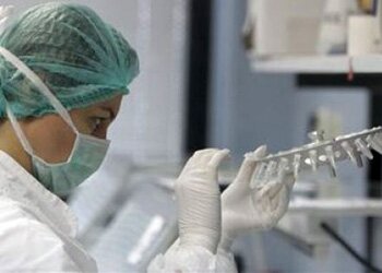 ��������� ��������������� ��������������� 11 ������� ���������������� �����������